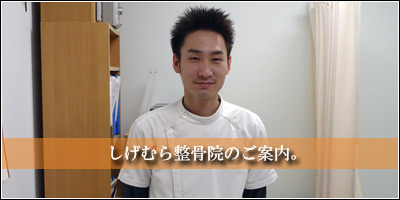 �����ނ琮���@�̂��ē�