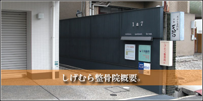 �����ނ琮���@ ���\��Ƃ��₢���킹